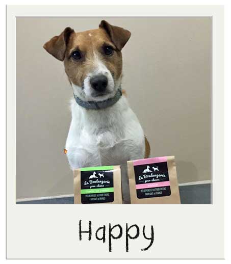 Happy avec nos Friandises Bio pour chiens